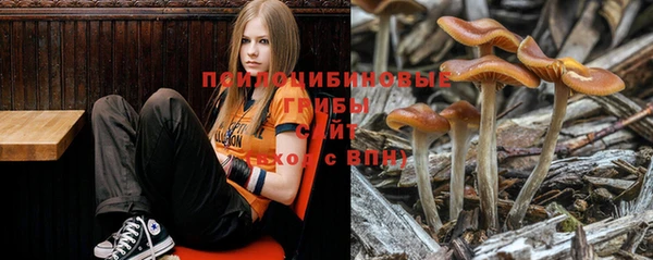 трава Зеленокумск