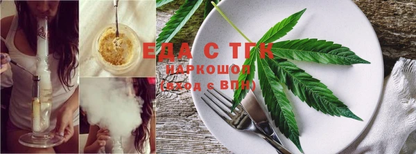 гидра Зеленодольск