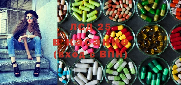 ГАЛЛЮЦИНОГЕННЫЕ ГРИБЫ Инта
